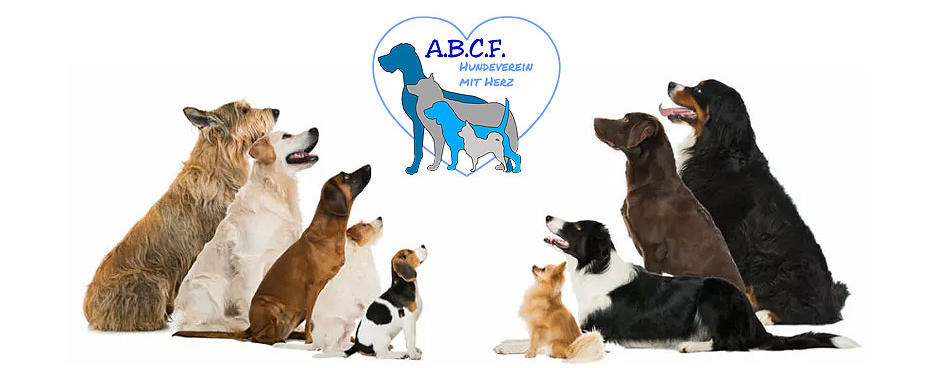 ABCF Rassehundeclub