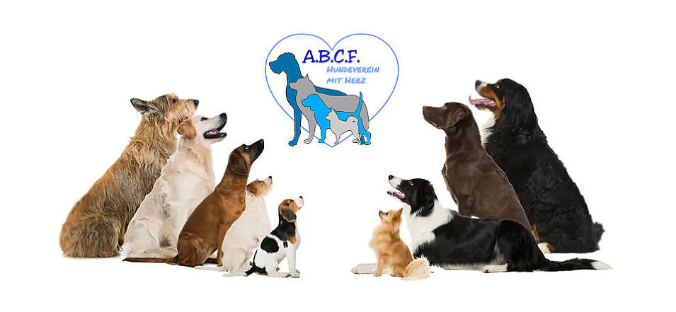 Rassehundeclub Österreich